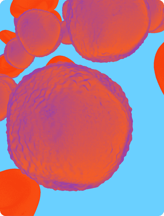 Chronic Lymphocytic Leukemia: