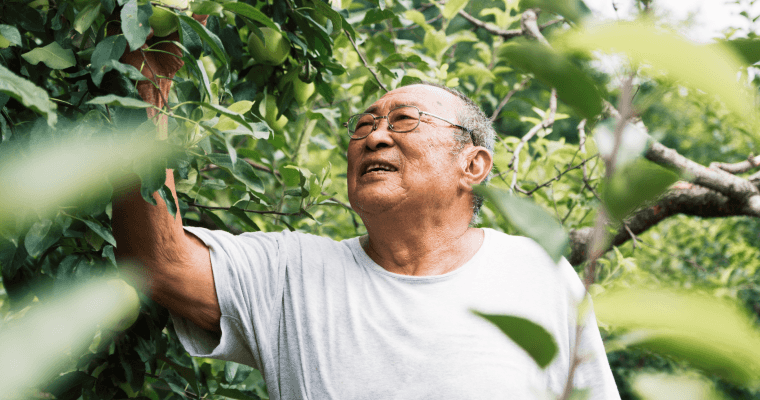 My Image Description