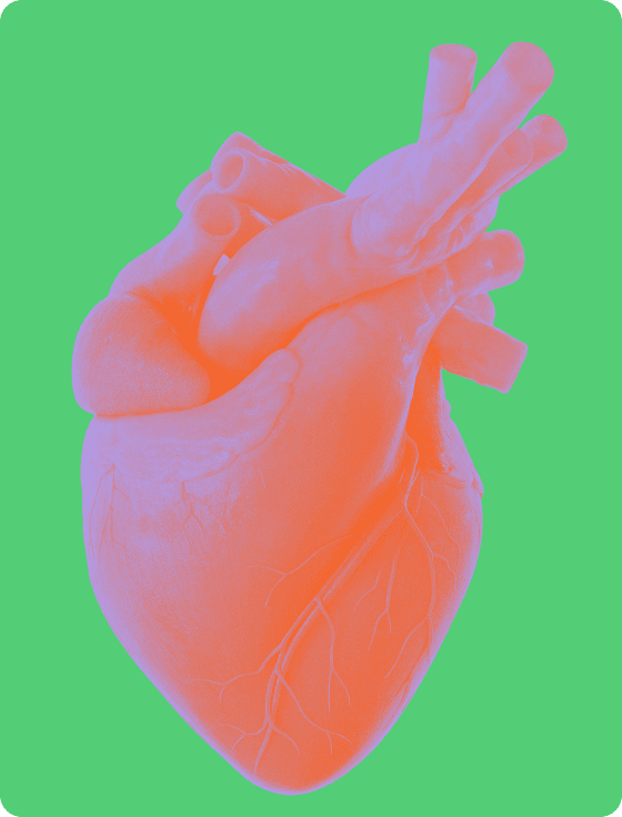 Pulmonary Arterial Hypertension: